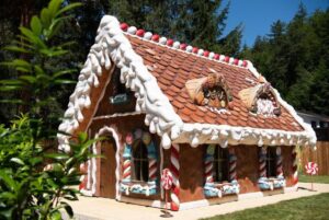 הפארק הקסום של רומניה - Magic Park credit to getyourguide.com