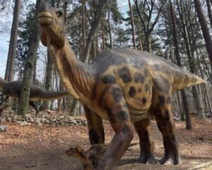 פארק הדינוזאורים בראשוב - Dino Parc Râșnov (הרי הקרפטים) credit to getyourguide.com