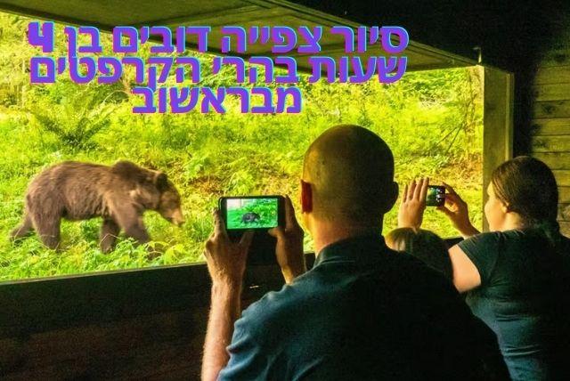 סיור צפייה דובים בן 4 שעות בהרי הקרפטים מבראשוב credit to getyourguide.com