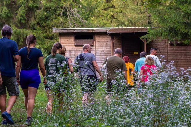 טיול מבראשוב לאזור הרי הקרפטים ברומניה - The Carpathians credit to getyourguide.com